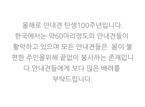 안내견에 대한 잘 몰랐던 사실들.. 그 개를 알고싶다! 안내견편!! | 인스티즈
