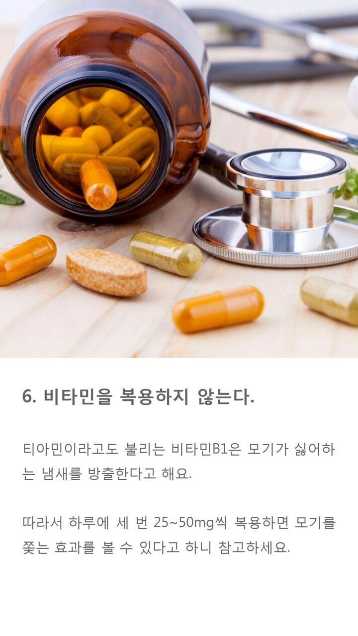 모기에게 잘 물리는 사람들 특징 9가지 | 인스티즈