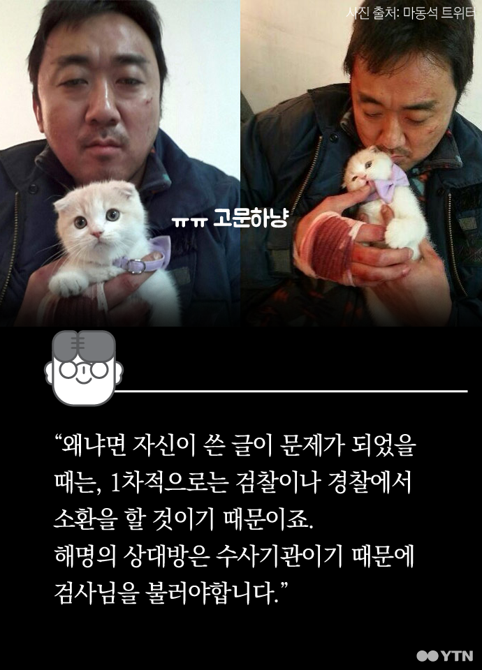판사님 이 글은 제 고양이가 썼습니다 | 인스티즈