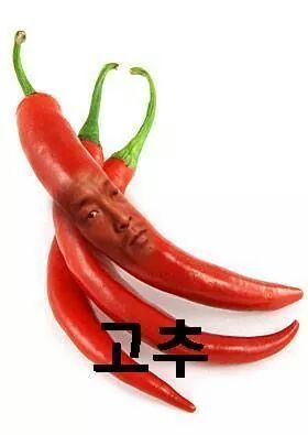 꼬추 이미지
