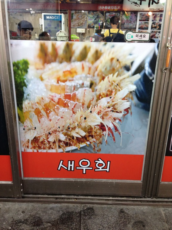독도꽃새우 이미지
