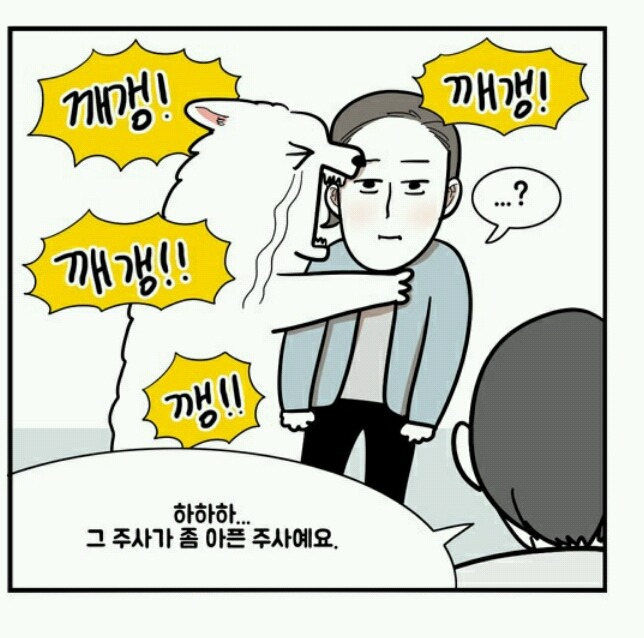 대형견 키우는 사람 공감 | 인스티즈