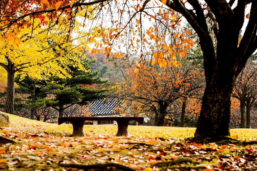 그리고경주 이미지