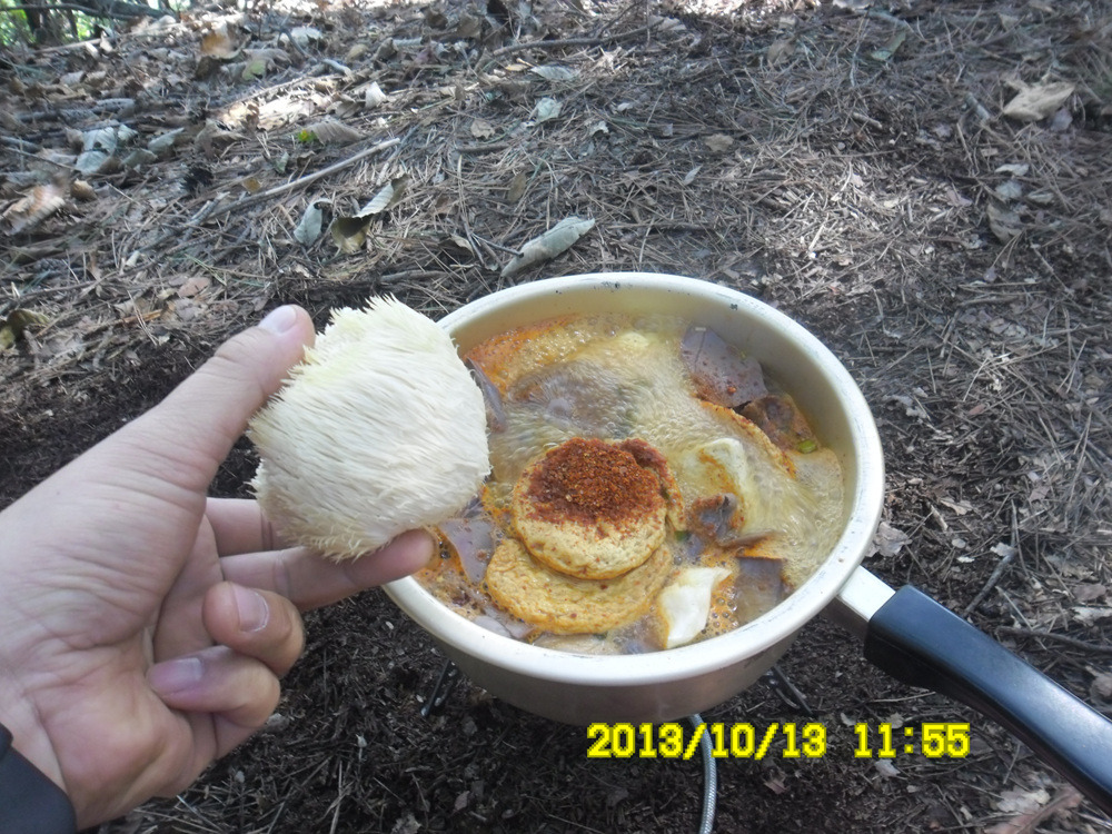 대전시경계종주 이미지