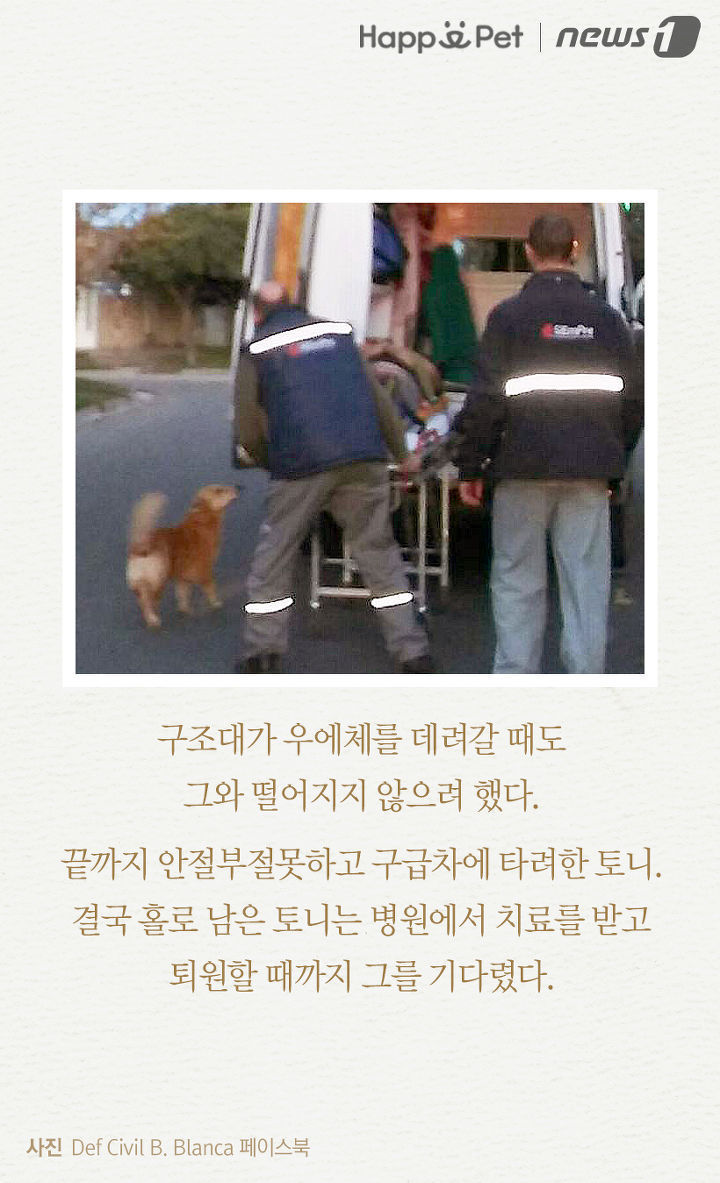 내 주인님 좀 살려주세요ㅜㅜ | 인스티즈