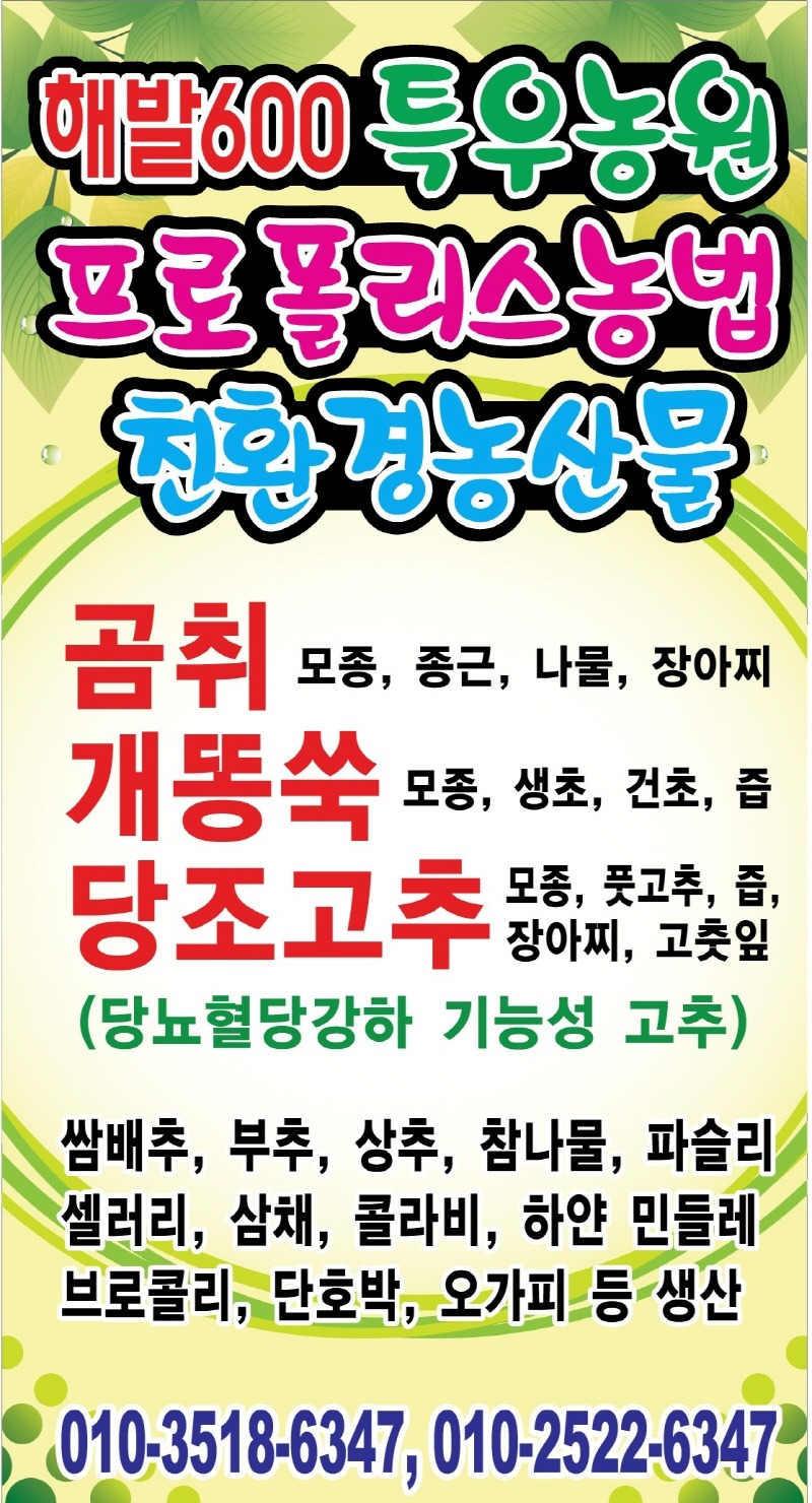당조 이미지