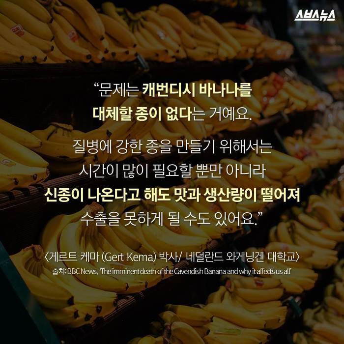  바나나 괴담의 진실 | 인스티즈