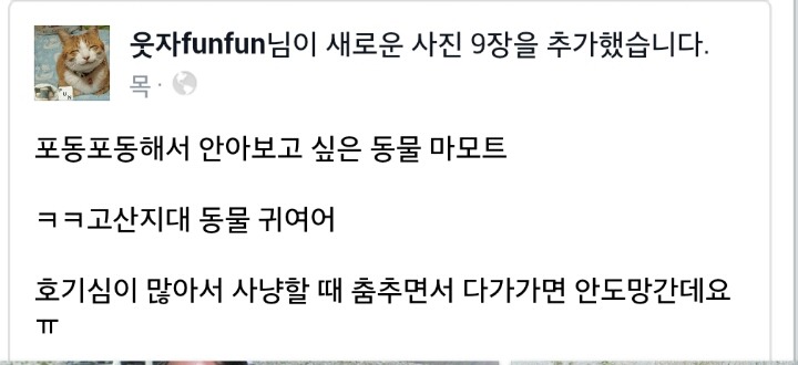 뱃살같은거 왜 만지고 싶은지 이해하게해주는 동물 | 인스티즈