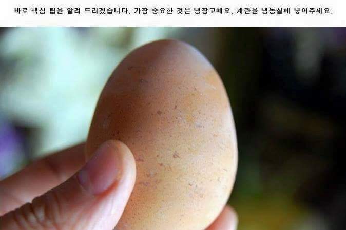 계란 1개로 계란 후라이 많이 먹는 느낌 만들어보기 | 인스티즈
