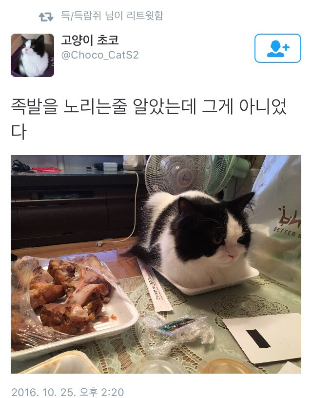 족발이 아니었다 | 인스티즈