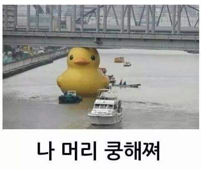 레고전 작품 | 인스티즈