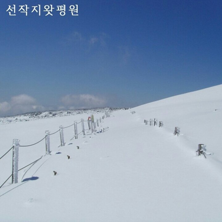 강산 이미지