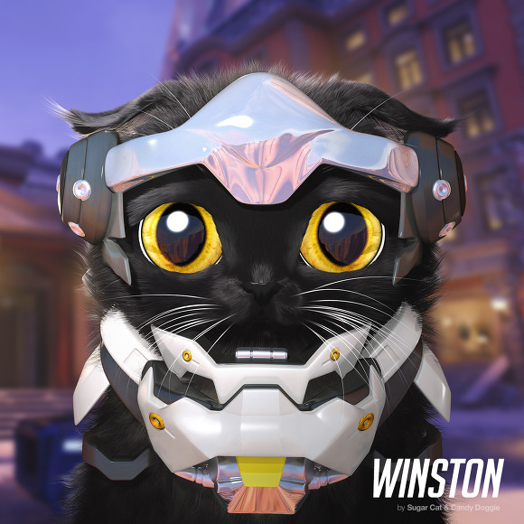 오버냥치 | 인스티즈