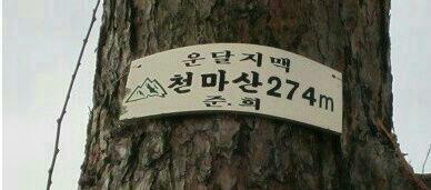 산사랑 이미지