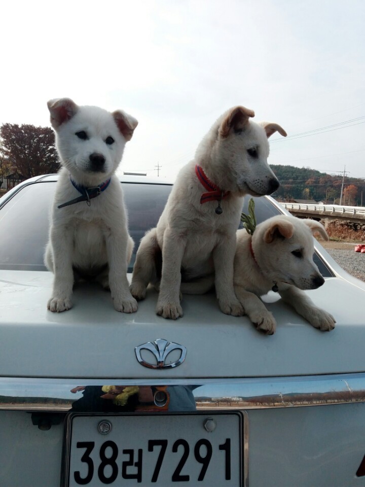 피해자만 고통받고 상처받고 괴로워야하는 이상한 나라에서 저는 피해자가 되었습니다(매실이이야기) | 인스티즈