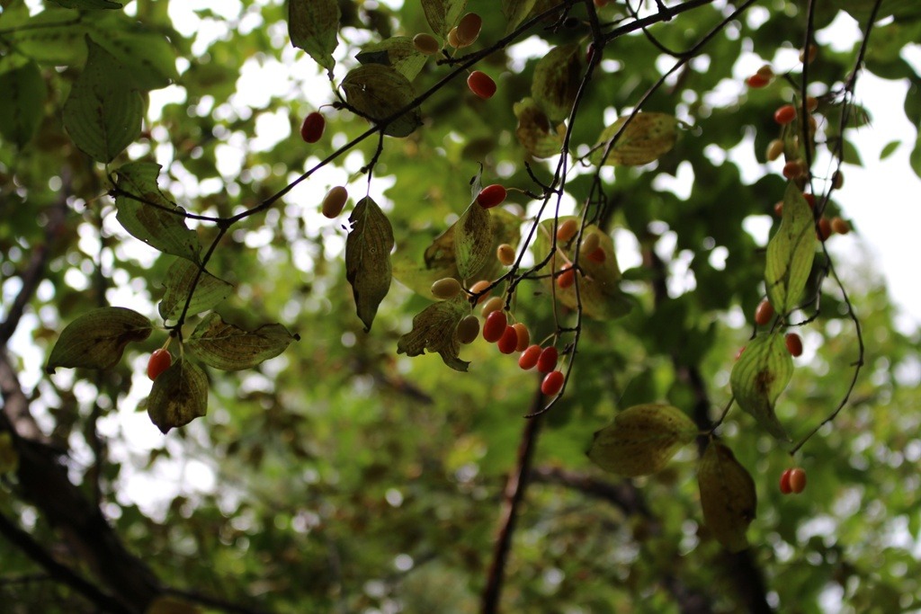 233BC0425263C3F90F4BB5