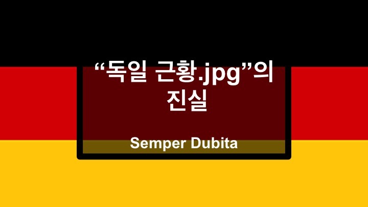 독일이 난민 참정권을 인정한다에 대한 팩트체크 | 인스티즈