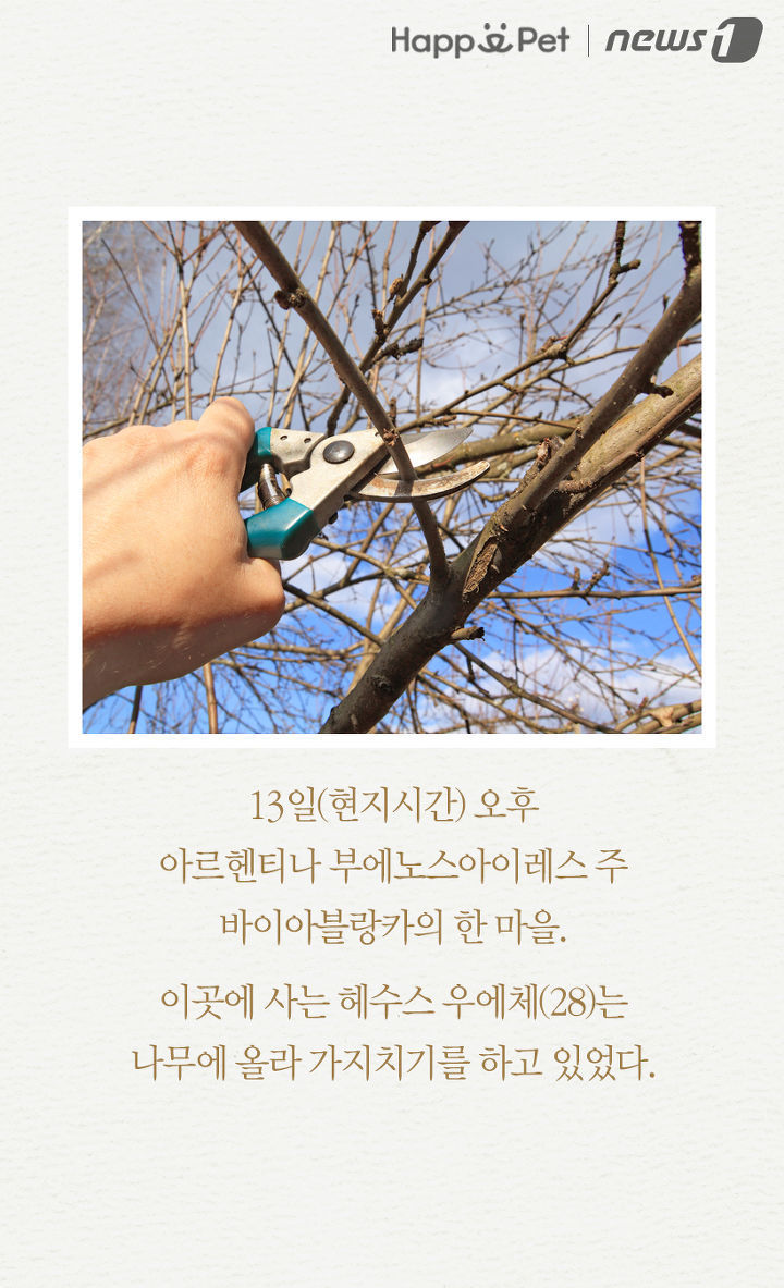 내 주인님 좀 살려주세요ㅜㅜ | 인스티즈