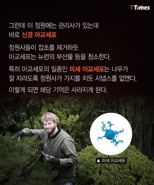 나쁜 기억들을 가지치기 하는 법 | 인스티즈