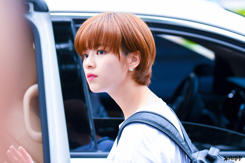 저녁 먹기 전 보는 트와이스 정연 | 인스티즈