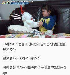 (슬픔주의)이별을 처음 겪어보는 4살짜리 아이 (귀염주의) | 인스티즈