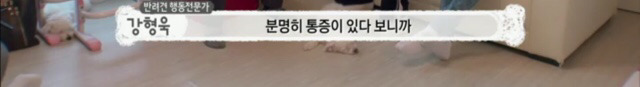 교배 업체에 보낸 후 사나워진 강아지 릴리 | 인스티즈