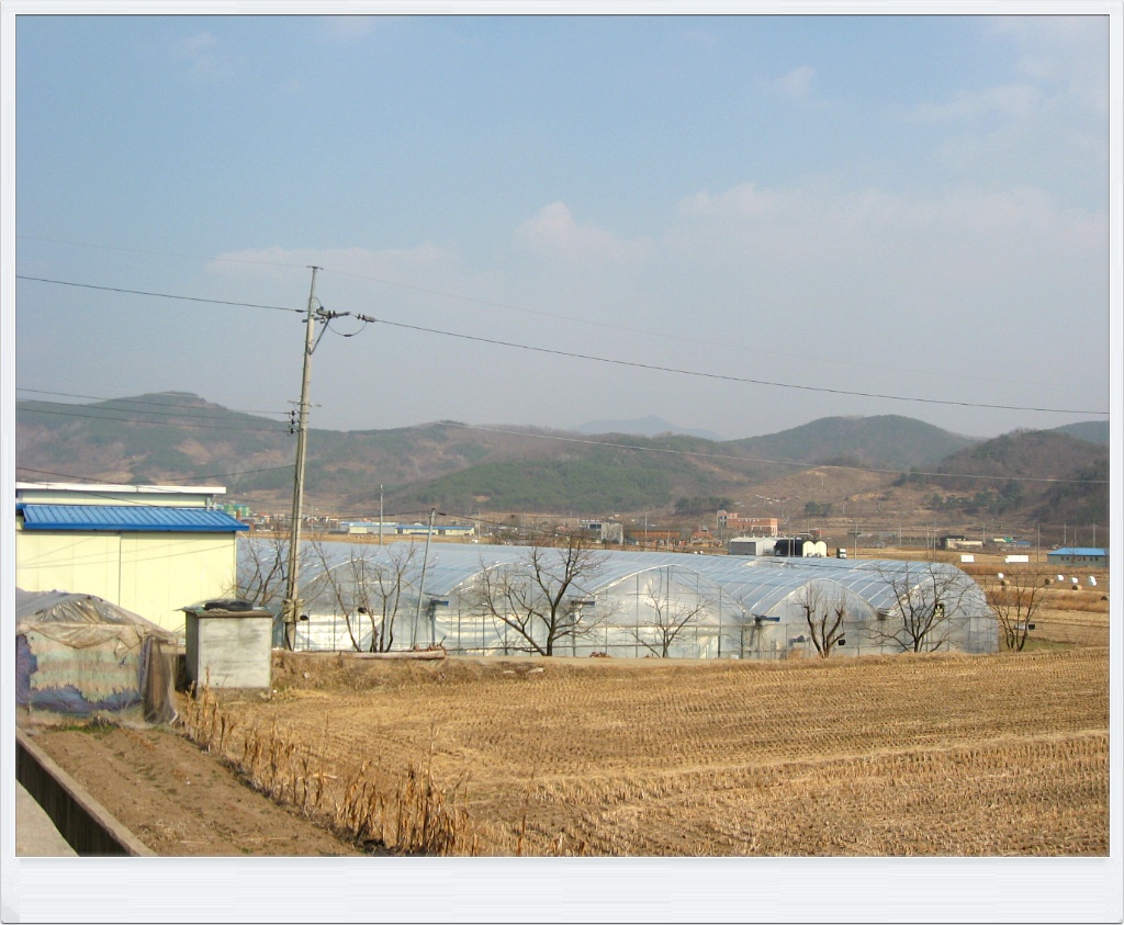 청도우리농장 이미지