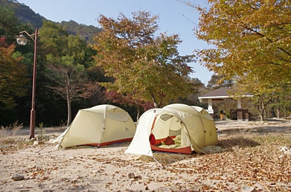 엘보우룸 이미지