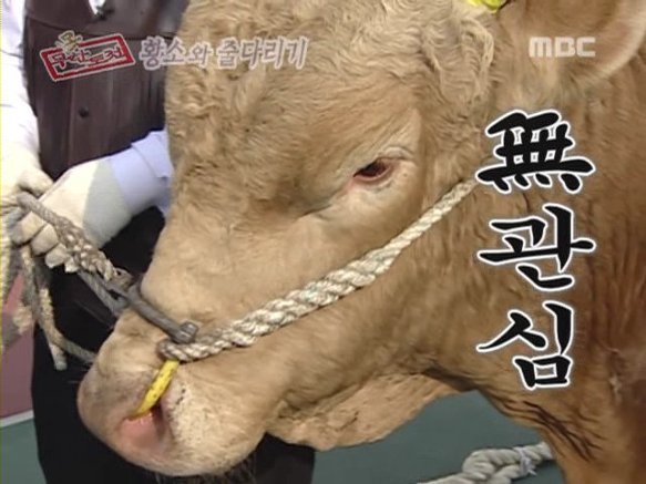 무한도전이 이렇게까지 커지리라고는 상상도못했던 그시절 | 인스티즈