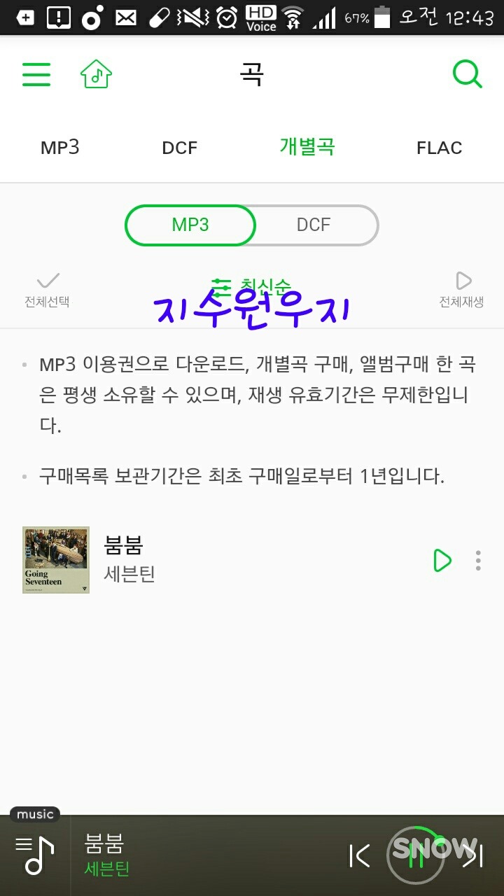 붐붐 이미지