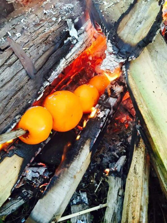 제주도에서 귤 먹는 방법 | 인스티즈