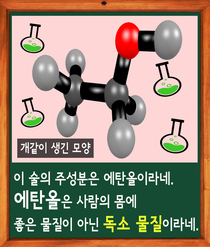술을 많이 마시면 토하는 이유 jpg | 인스티즈