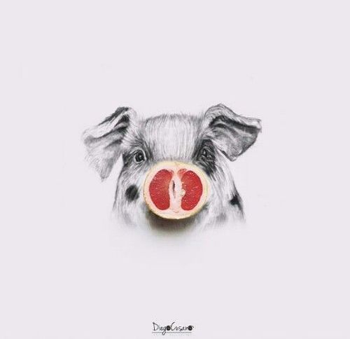 푸드 아트.jpg | 인스티즈