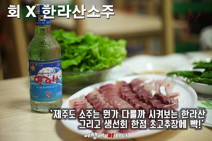 제주도 먹방 여행 | 인스티즈