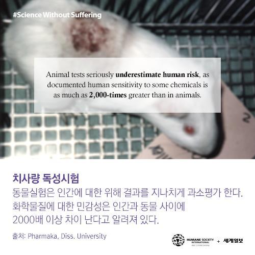 저를 죽이기 전에 눈을 한번 봐주세요(혐오주의) | 인스티즈