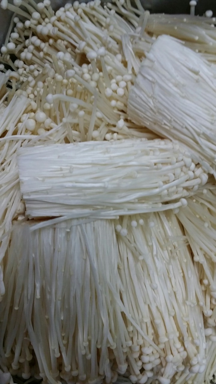 삼겹파티 이미지