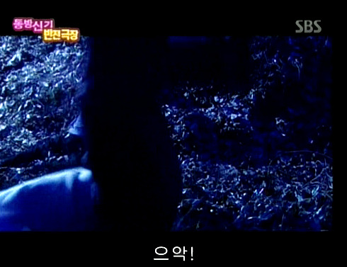 반전드라마 베스트 에피소드 위험한 사랑 1 | 인스티즈