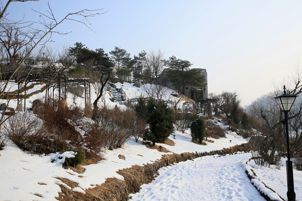 허브빌리 이미지
