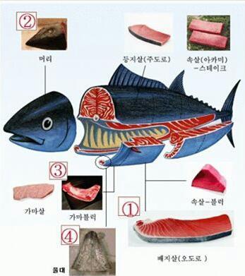 참치이야기 이미지