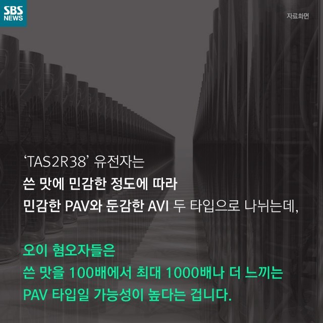 오이를 싫어하는 사람은 더 발달된 사람이다?jpg | 인스티즈