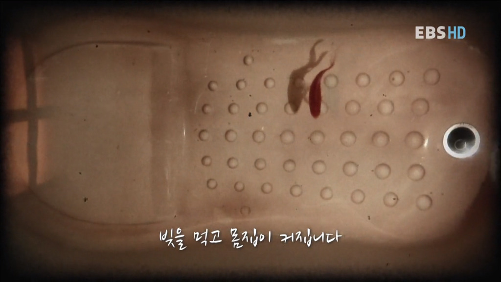 자본주의 속 우리의 현실 상황... 공감되서 소름 돋네요.. | 인스티즈