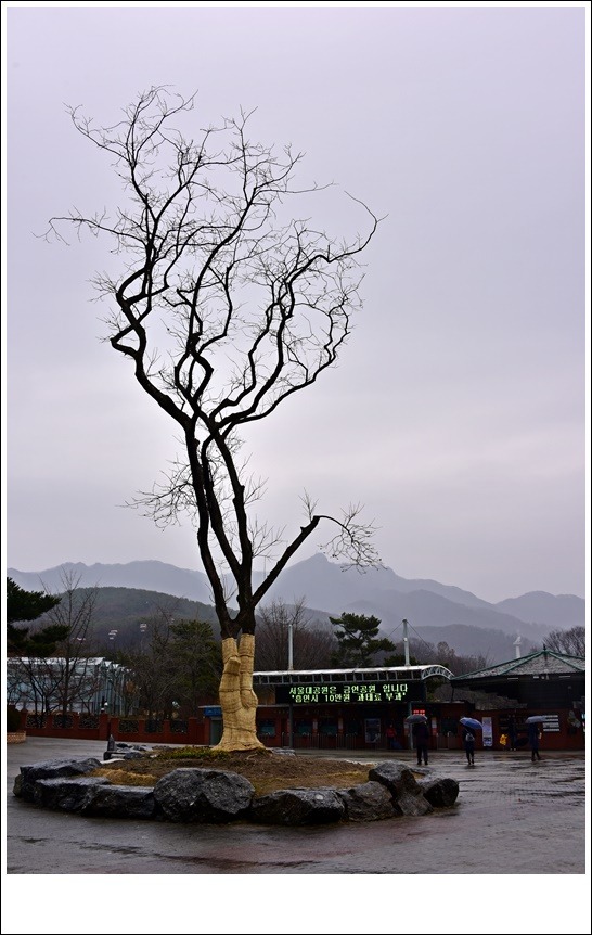 사진온실 이미지