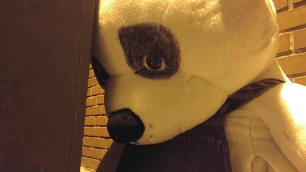 주인이 날 버렸어 ㅠㅜ | 인스티즈