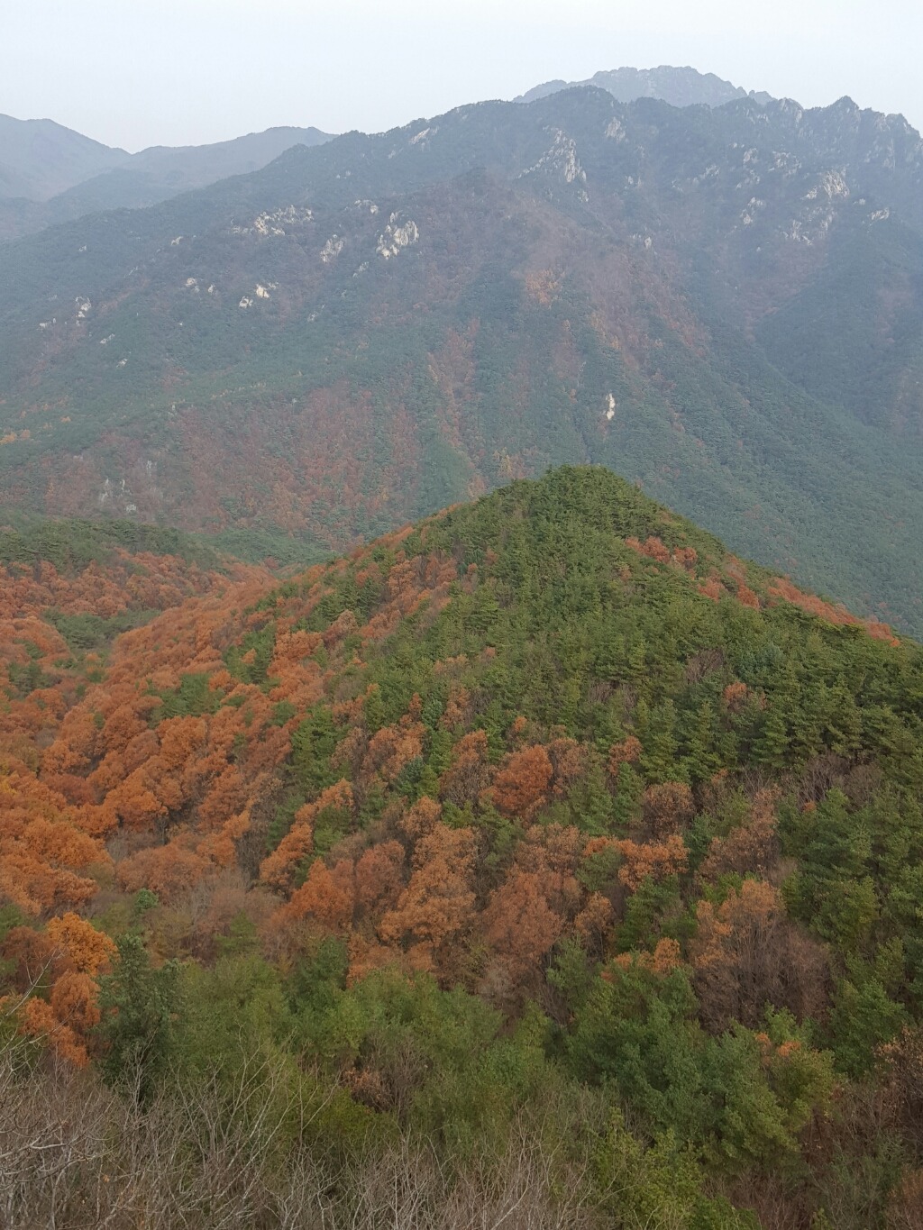 남산 이미지