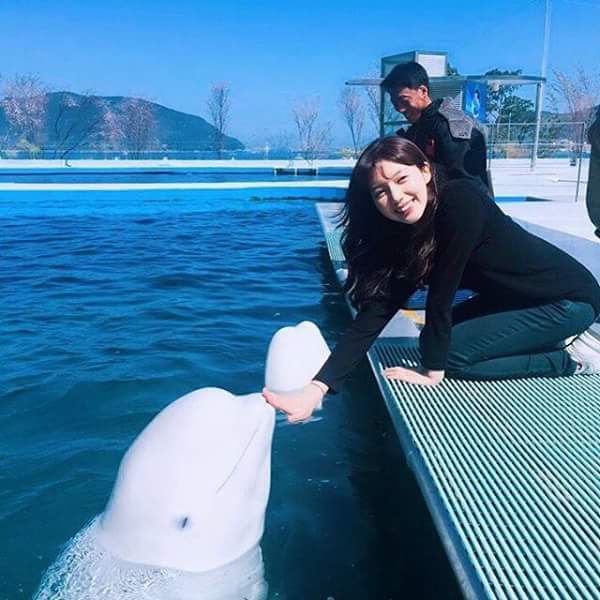 남녀차별하는 돌고래.jpg | 인스티즈