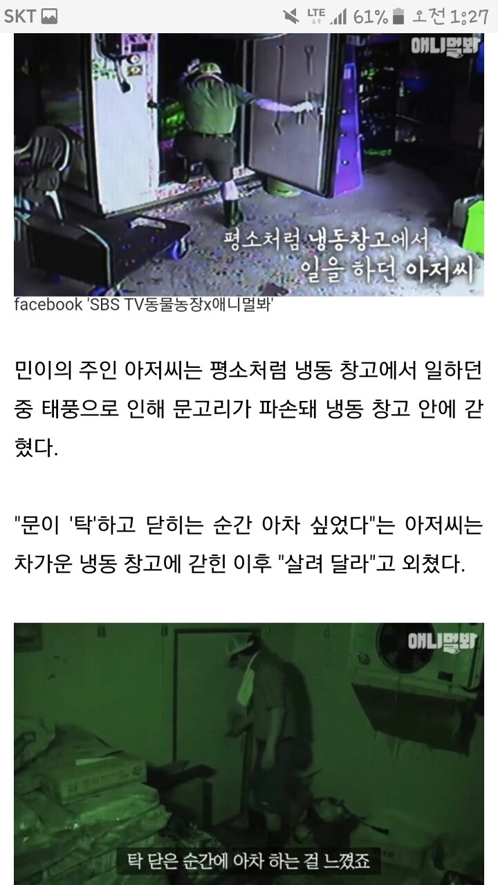 하루 종일 짖어 냉동 창고에 갇힌 주인 구한 강아지 | 인스티즈