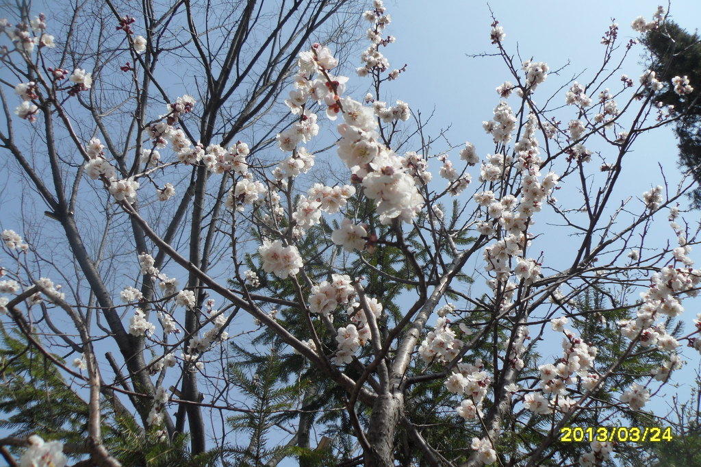 일육상회 이미지