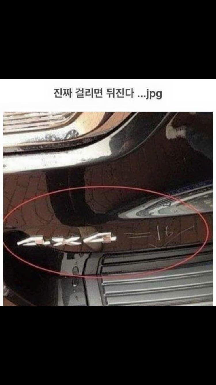 히마 이미지