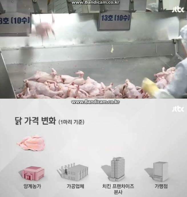 대한민국 치킨값 구조 | 인스티즈
