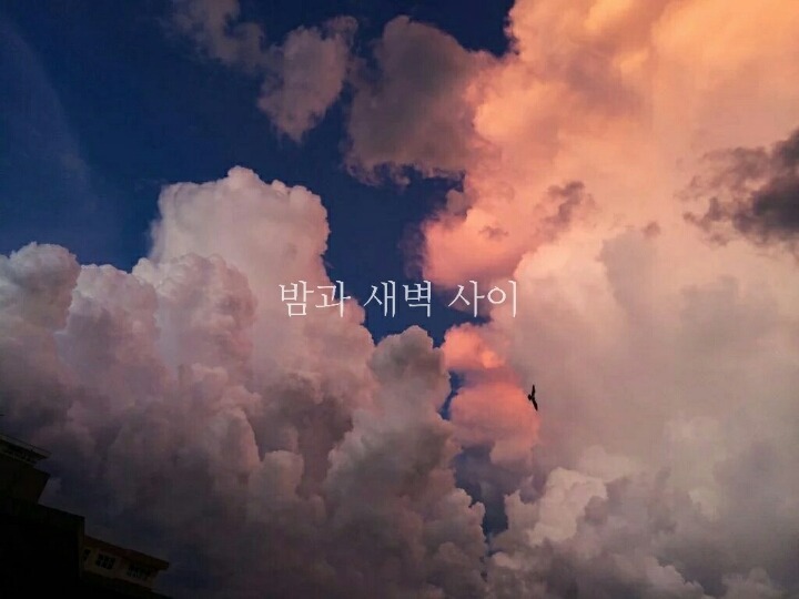 하믄 이미지